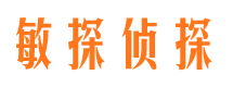 崇文市私家调查